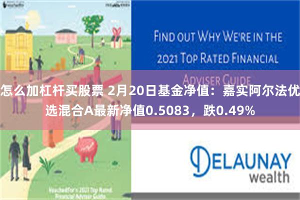 怎么加杠杆买股票 2月20日基金净值：嘉实阿尔法优选混合A最新净值0.5083，跌0.49%