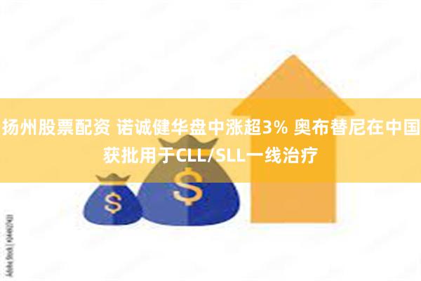 扬州股票配资 诺诚健华盘中涨超3% 奥布替尼在中国获批用于CLL/SLL一线治疗