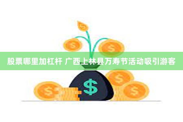 股票哪里加杠杆 广西上林县万寿节活动吸引游客