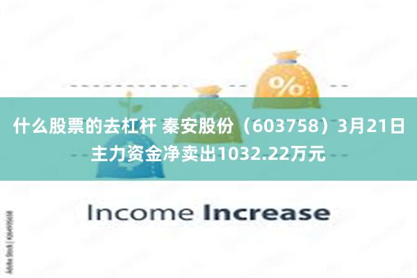 什么股票的去杠杆 秦安股份（603758）3月21日主力资金净卖出1032.22万元