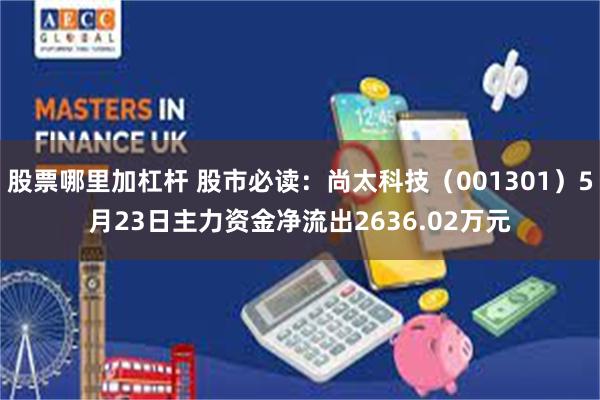 股票哪里加杠杆 股市必读：尚太科技（001301）5月23日主力资金净流出2636.02万元